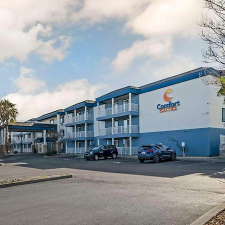 Comfort Suites Red Bluff Near I-5 Esterno foto
